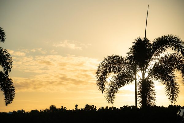 4-17-26 Golf Tournament (1)